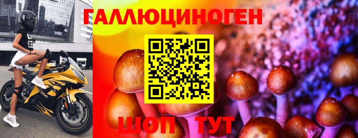 Псилоцибиновые грибы Psilocybine cubensis Советский